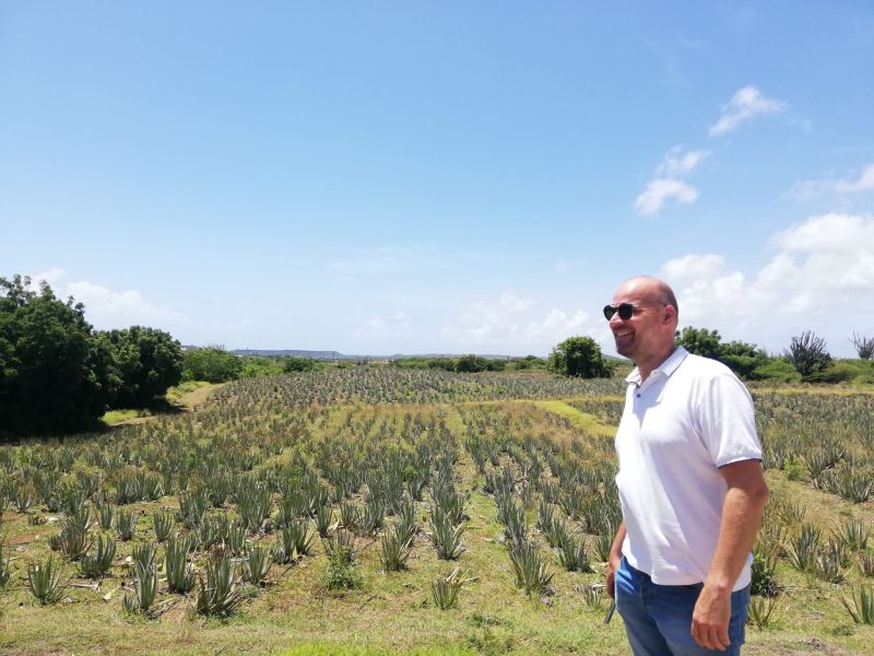 Erik Rasker bij een veld vol aloe vera op Curacao